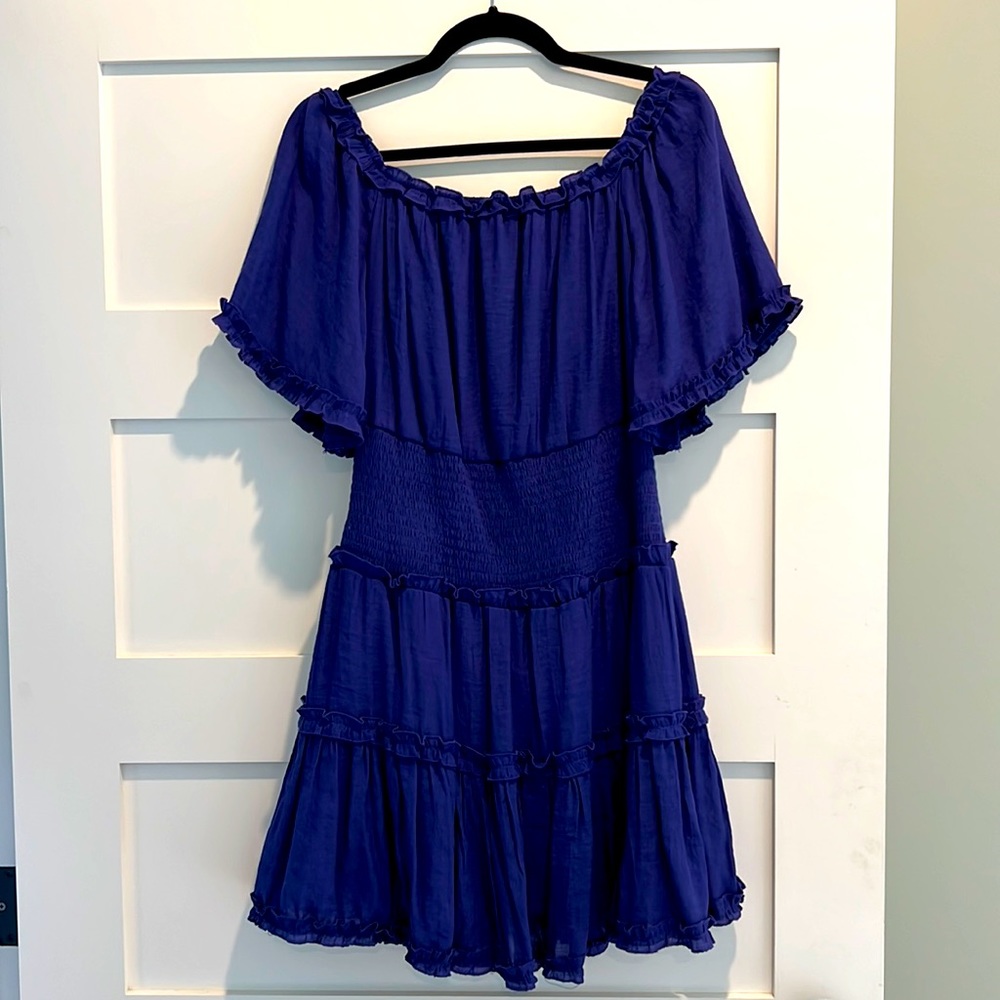 Purple Vici Dress. Worn once for 2 hours.